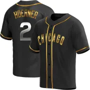 Youth Replica Black Golden Nico Hoerner Chicago Cubs Alternate Jersey